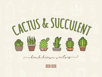 Hand Drawn Cactus & Succulent Vectors