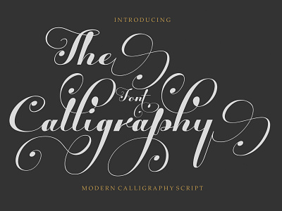 The Calligraphy Font

https://www.creativefabrica.com/designer/s