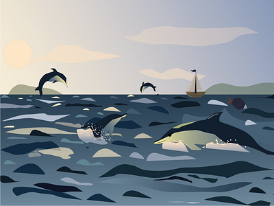 Illustration adobe illustrator design designer dolphins dribbble graphic design illustration illustrator sea vector