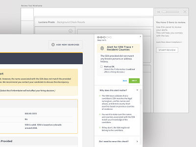 Review tool for background checks