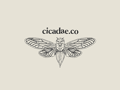 Apparel Logo Design - cicadae.co art branding design digital art digital illustration graphic design illustration logo logo design minimal minimalistic logo