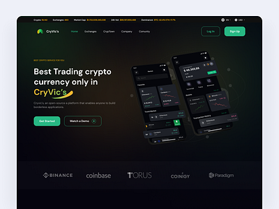 CryVic’s - Crypto Hero Section