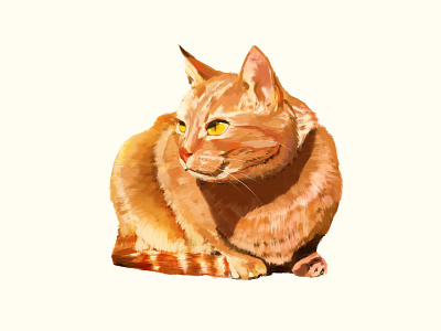 Orange cat cat fat illustration orange
