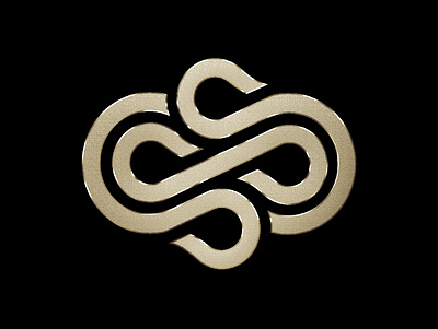 SS Letter Logo branding graphic design logo