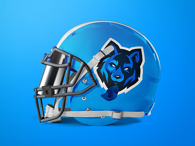 Carolina Panthers Rebrand Concept by Brandon Williams on Dribbble