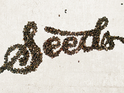 Seed Typography chia custom handmade lettering script seeds type typography