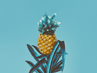 PINEAPPLE #1