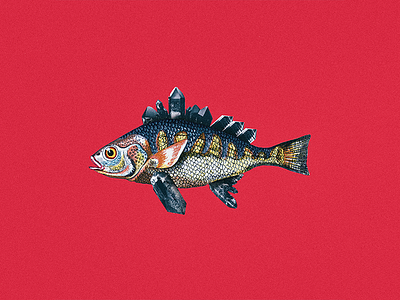 FISH #2 collage color composition diamond fish illustration red sea summer