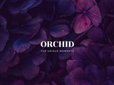 Logo for the flower shop "Orchid" branding design graphic design icon logo иллюстратор магазин мокап фирменный стиль цветы