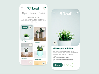 Indoor plants online shop adobexd green green logo greenhouse mobile plants shop ui uidesign webdesign wild