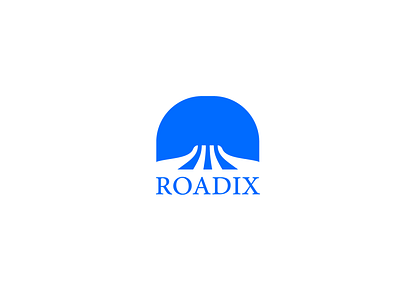 roadix logo design 3d branding cretive de design graphic design illustration logo logo design vector