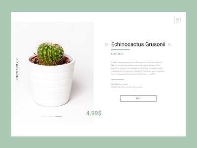 Cactus cactus minimal ui