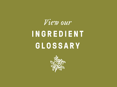 Petal & Leaf Glossary floral glossary ingredients perfume
