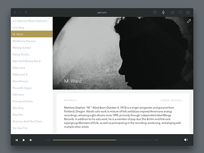 Voltra Player — Artists app music music player ui ux