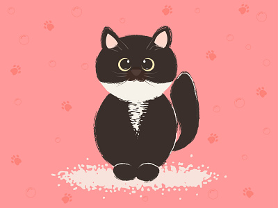 Character illustration for grooming salon card cat cute design grooming illustration salon seamless vector