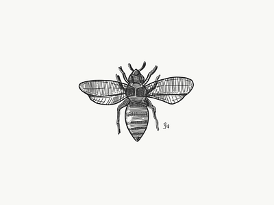 Etch-a-Sketch 5 bee drawing etching illustration insect sketch
