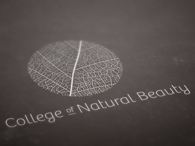 Beauty School logo concept beauty black college leaf logo mark mono natural typography white