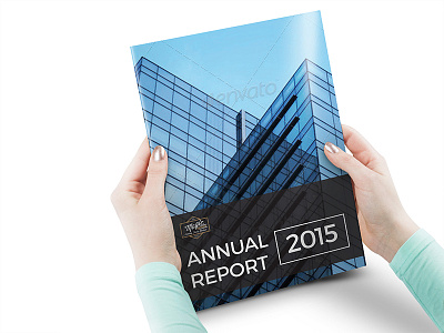 Annual Report annual report brochure business clean company profile creative design guidelines indesign manual modern professional report