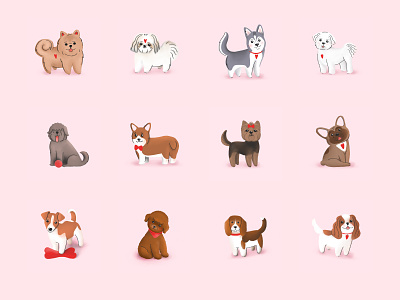Cute Dogs breeds dogs illustration tezigrooming