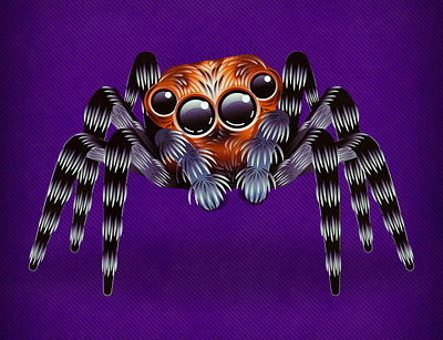 Spooky Spider bug cute digital art drawing halloween happy halloween illustration insect jumping spider october orange spider spooky vector vector art