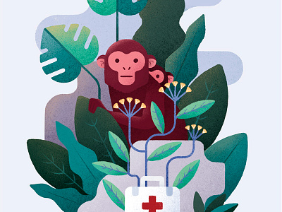 Animal instinct animal herb jungle medical herb medicate medicine monkey pharmacology