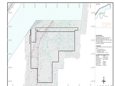 A Topography survey map in a Coordinate drawing autocad autocad 2d design