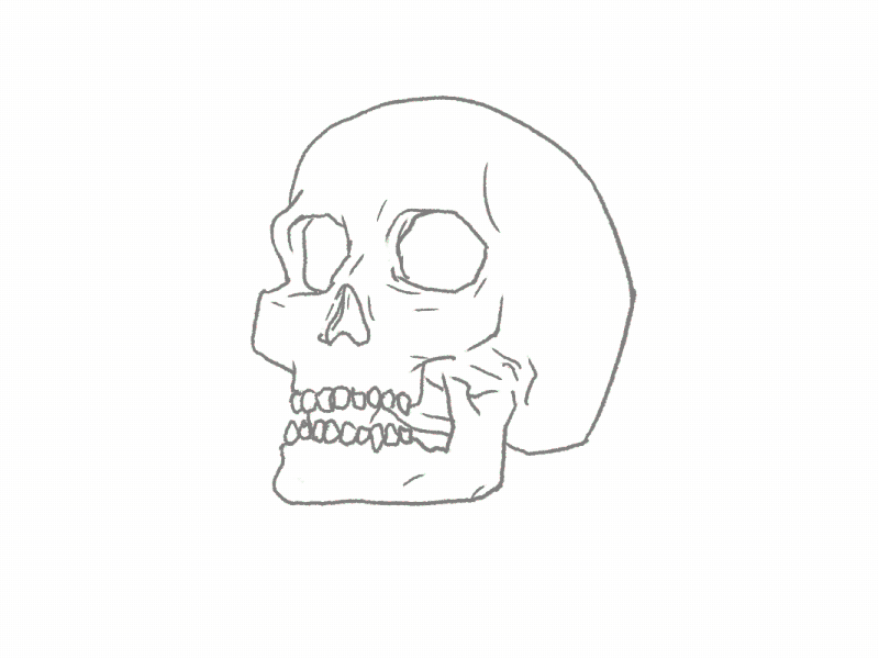 Skull - Rough 2d animation