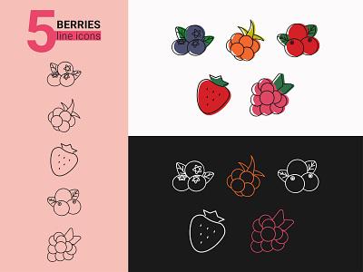 5 BERRIES line icons berries berry design food fruits icons illustration line art outline