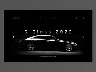 Branded Car Landing page