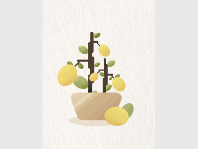 Lemon Tree