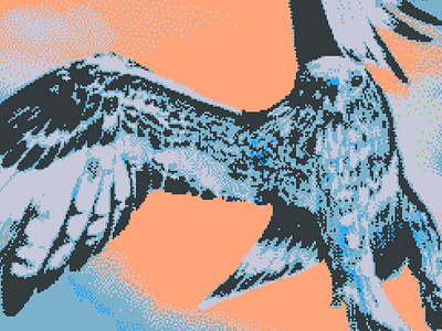 Hawk 8bit bird drawing eagle hawk sky