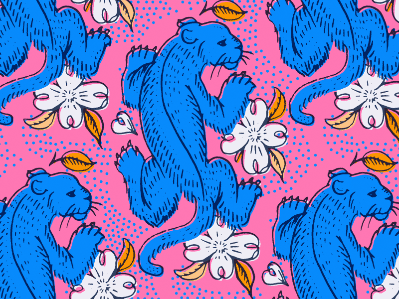 Panther illustration pattern drawn florida panther