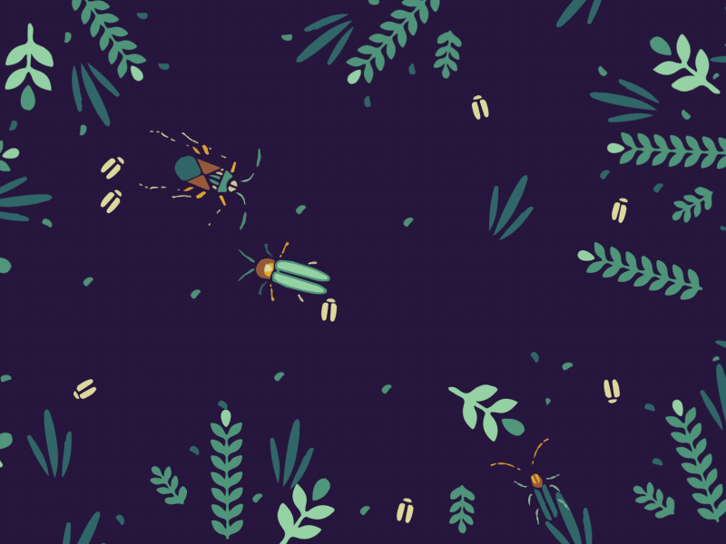 BUGS animation beetle beetles bug forest gif leaves nature