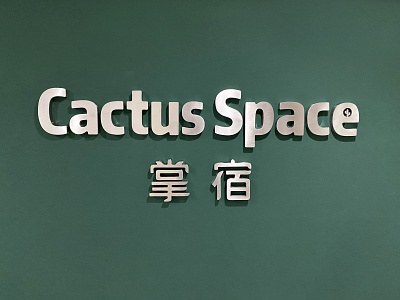 Cactus Space Brand art cactusspace cactusspace illustration logo