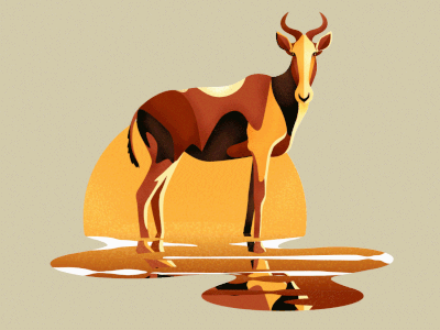 Hartebeest africa animal antelope gif kenya orange safari simple sun sunset water wild