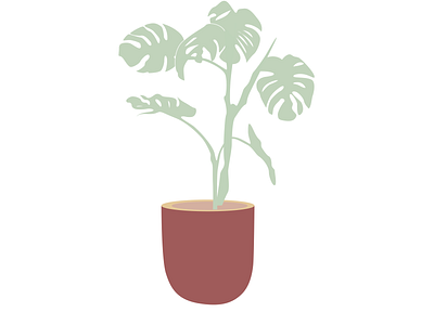 Potted Plant 2022 botanical design dribbble illustration minimal plant trend vector