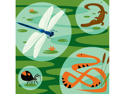 CalAcademy Swamp calacademy california academy of sciences environment illustration illustrator nature swamp vector