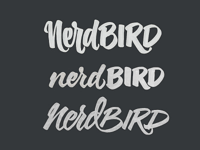 NerdBIRD brush brushpen draft lettering logo sketch tombow type typography