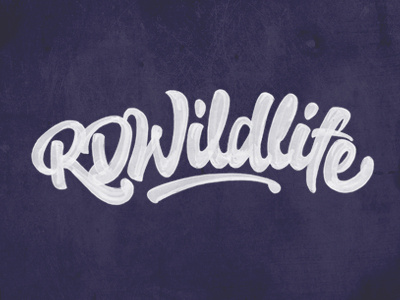 RD Wildlife 03 brush brushpen calligraphy custom fabercastell joluvian lettering tombow type wild