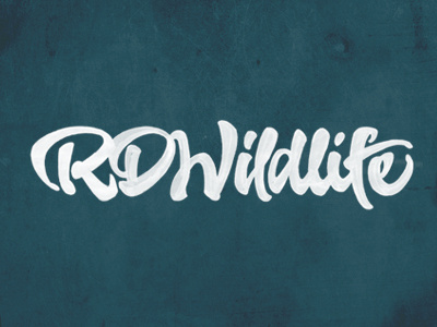 RD Wildlife 04 brush brushpen calligraphy custom fabercastell joluvian lettering tombow type wild