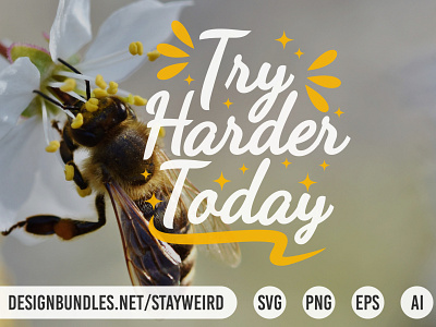 TRY HARDER TODAY MOTIVATIONAL QUOTE