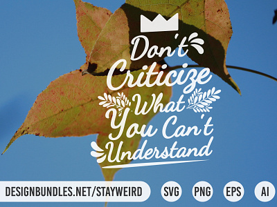 DON'T CRITICIZE WHAT YOU CAN'T UNDERSTAND FUNNY QUOTE