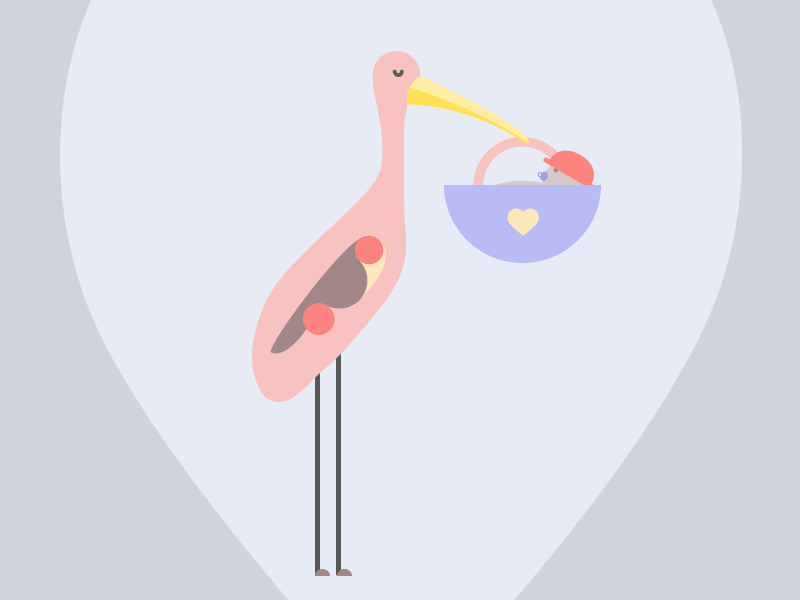 Hey baby! ♥ animal animation announcement baby bird birth boy child gif girl pregnancy stork
