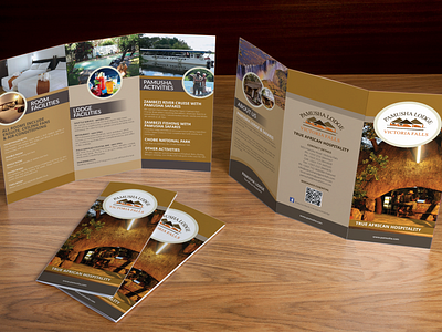 DL Trifold Brochure branding brochure design dl brochure flyer graphic design promotional trifold brochure