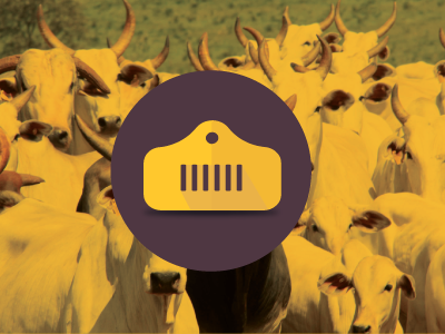 Brabov Icon fazenda gestão app icon brabov