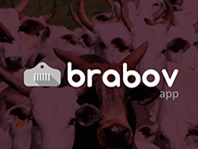 Brabov MIV app brabov miv visual identity