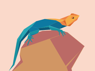Lizard animal character graphic illustration lizard