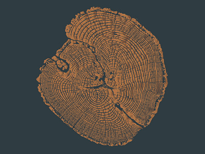 Album Art Warm Up album art forest oak park print stump texture tree vector art wood