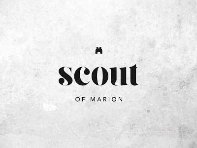 Scouting Options binoculars branding logo mark texture