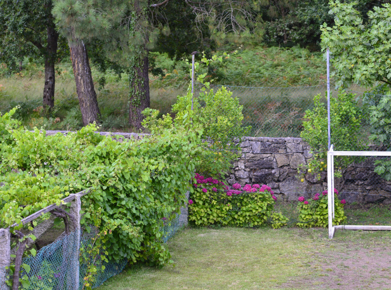 what-materials-are-used-for-making-a-football-backyard-court-by